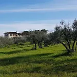 La Zolla *