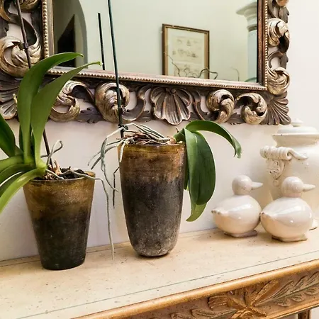 La Zolla Bed & Breakfast
