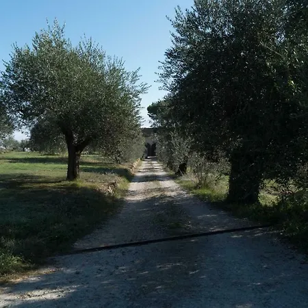 La Zolla *