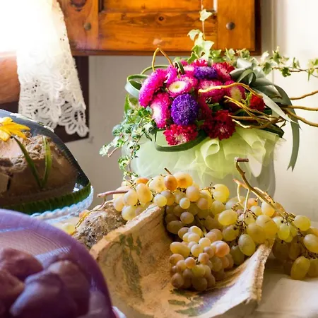 La Zolla Bed & Breakfast *