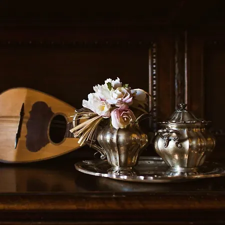 La Zolla Bed & Breakfast *