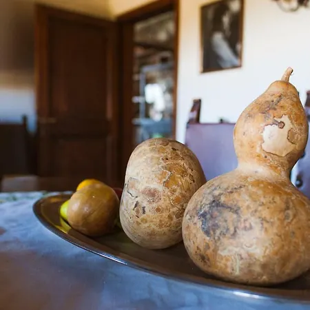 Bed & Breakfast La Zolla