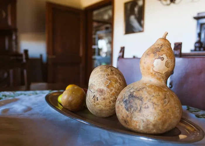 فندق مبيت وإفطار La Zolla